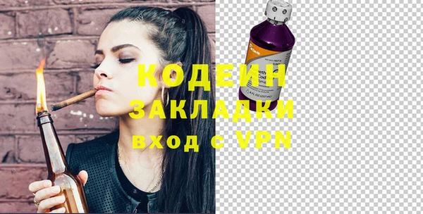 твердый Бородино