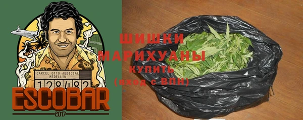 твердый Бородино