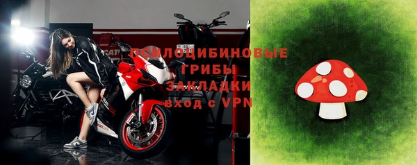 ALPHA-PVP Богородицк