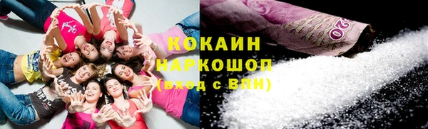 твердый Бородино