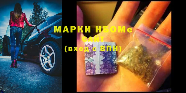 твердый Бородино