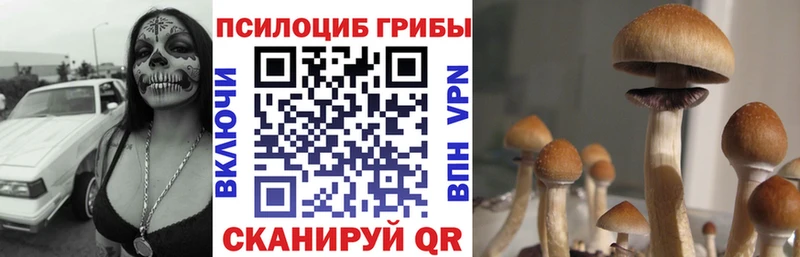 Псилоцибиновые грибы Cubensis  наркошоп  Нижнекамск 
